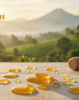 Melipona Honey