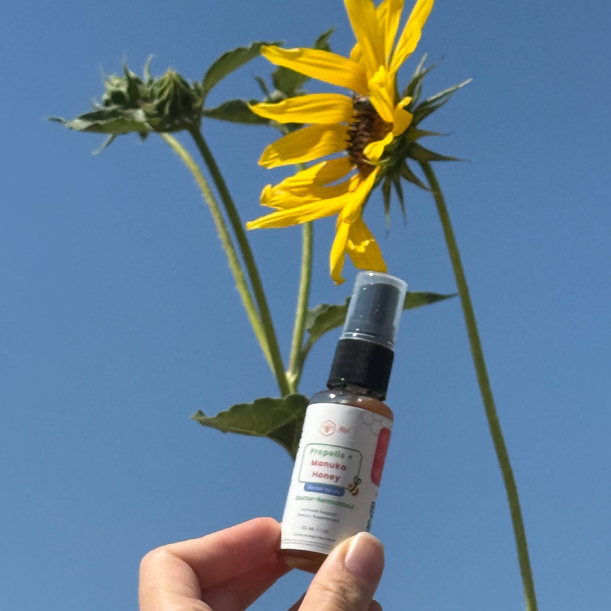 Propolis + Manuka Throat Spray