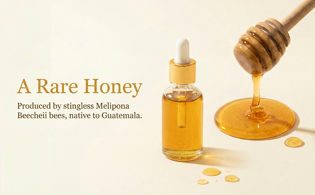 Melipona Honey