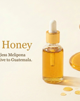 Melipona Honey