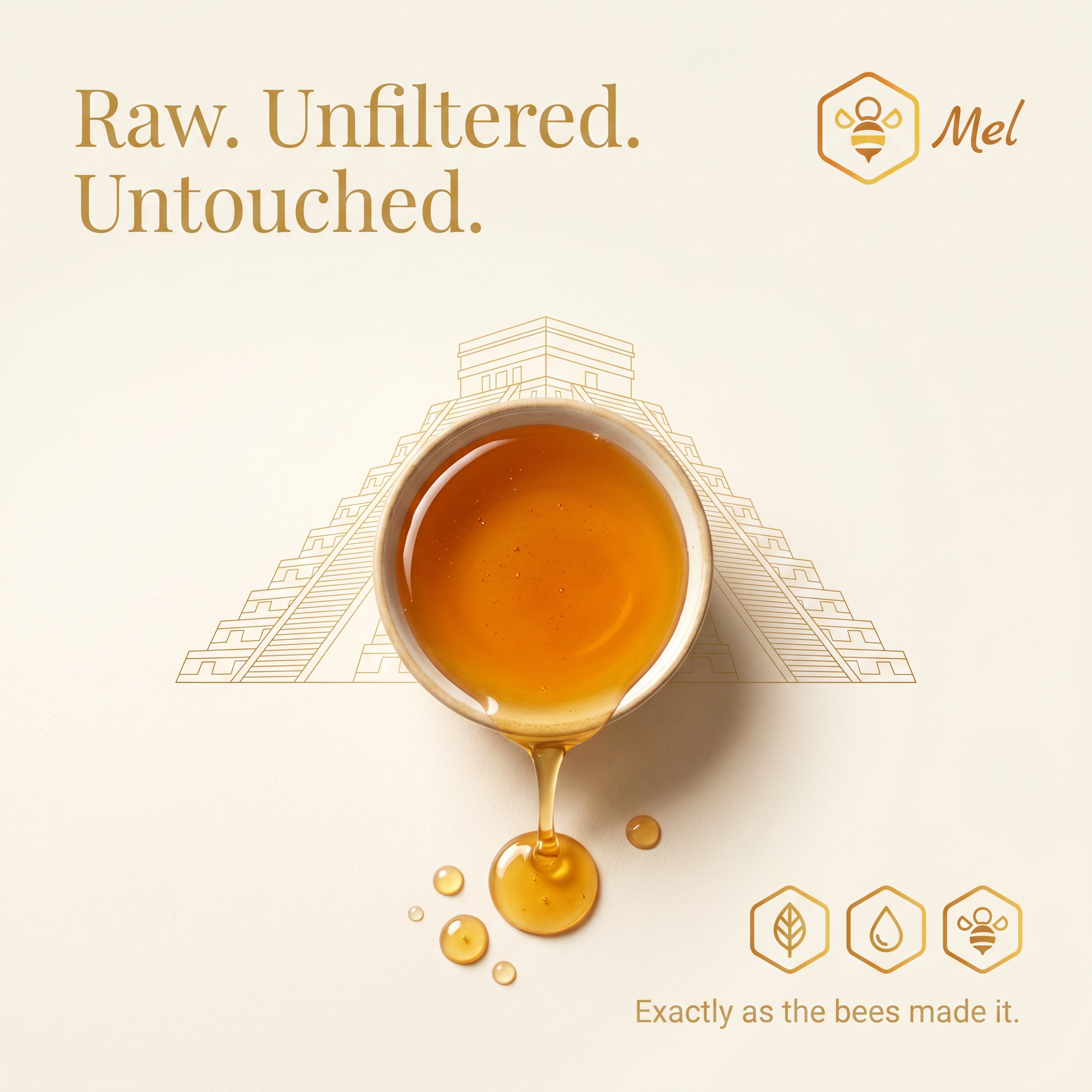 Melipona Honey