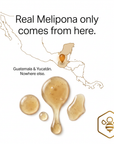Melipona Honey