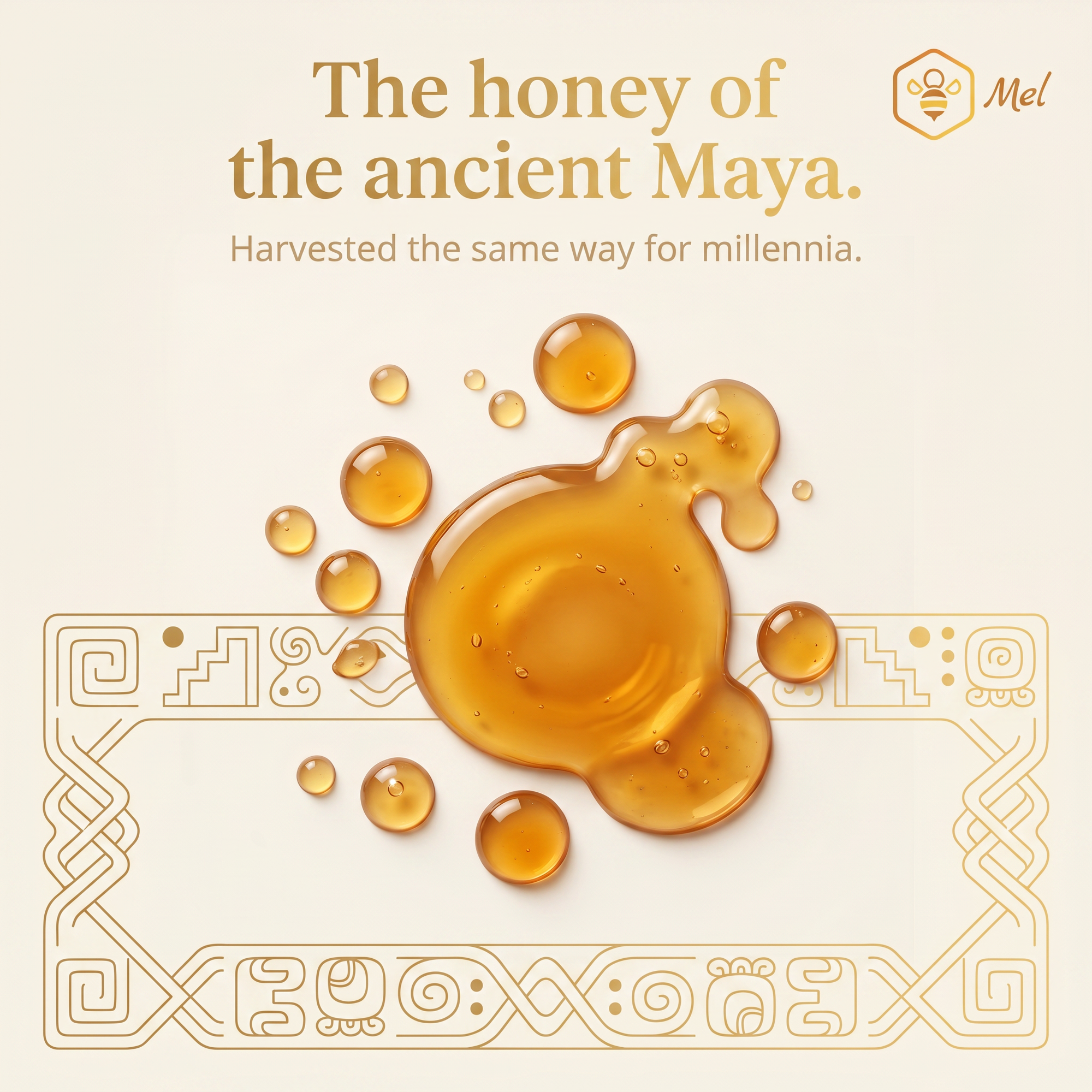 Melipona Honey