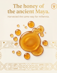 Melipona Honey