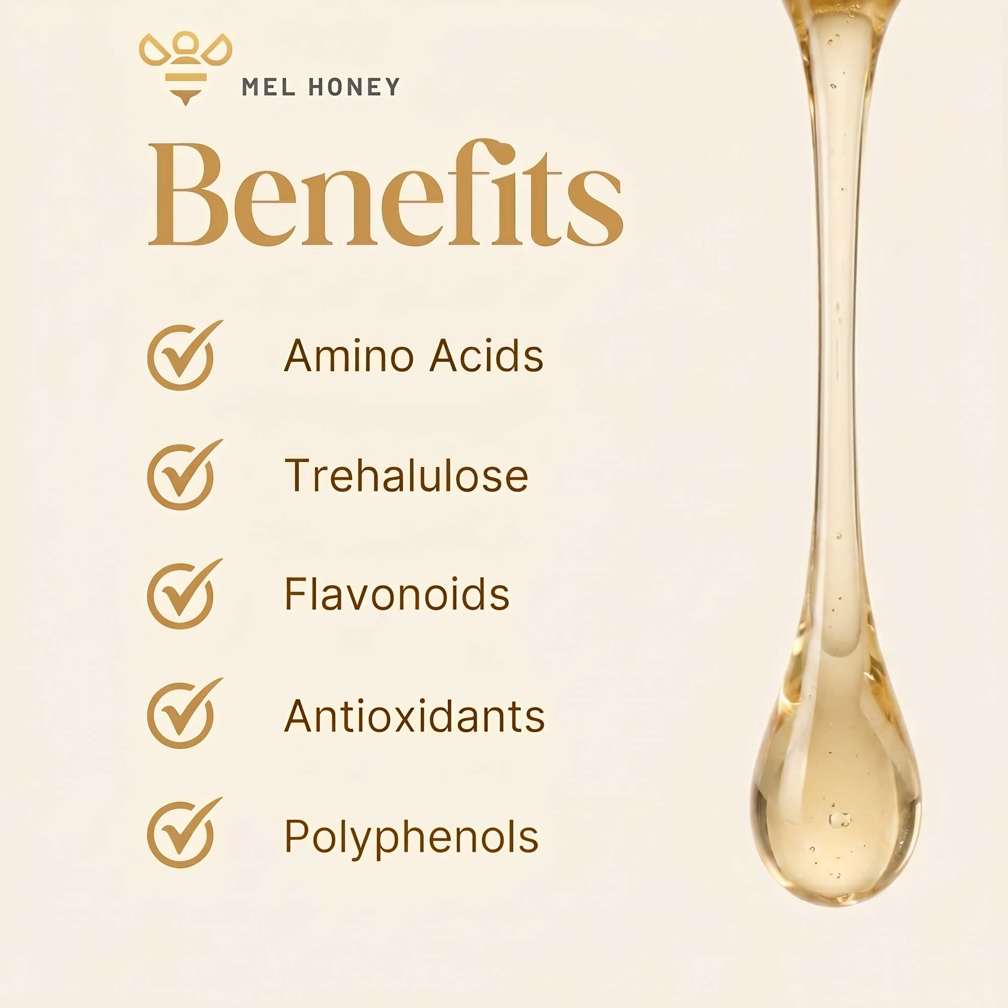Melipona Honey