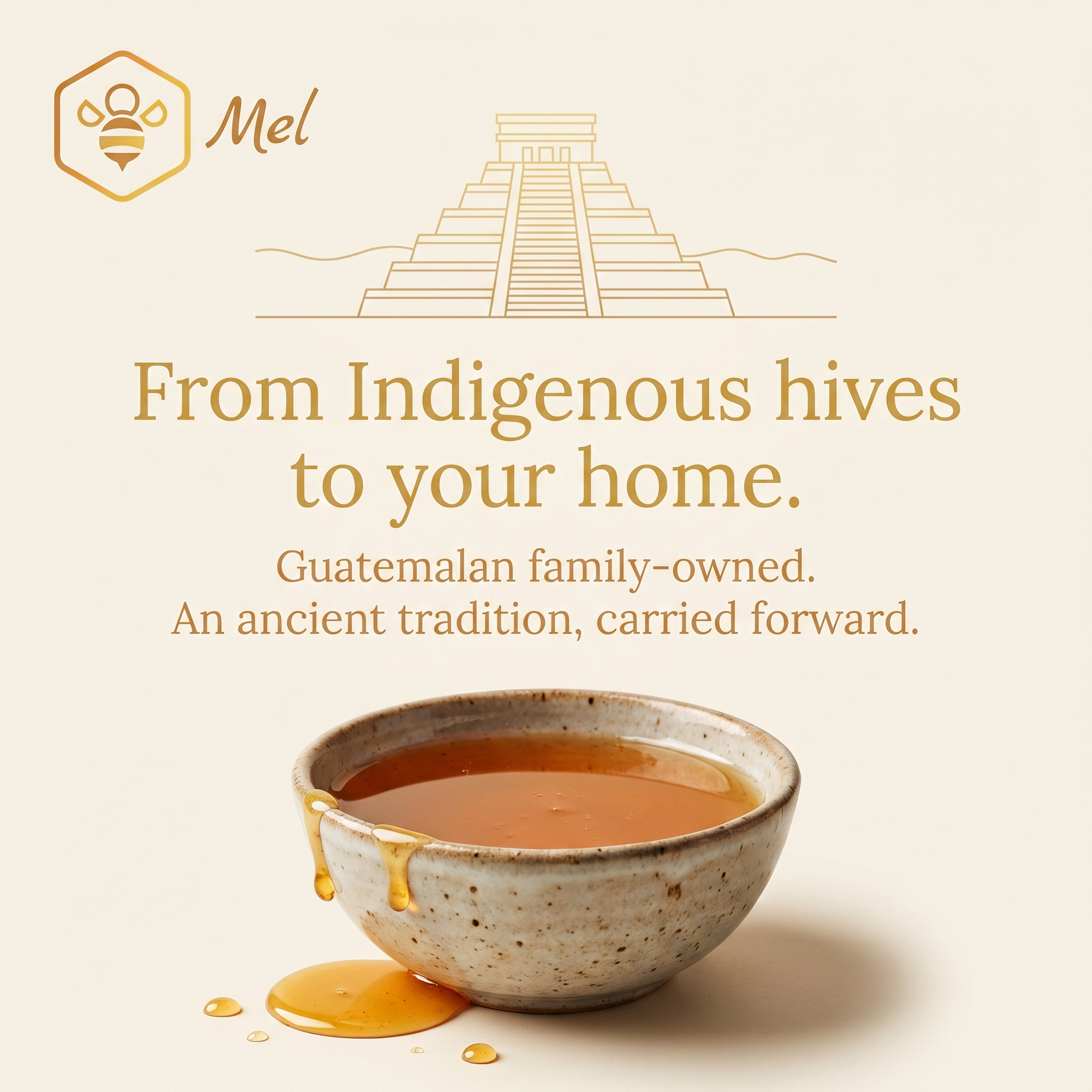 Melipona Honey